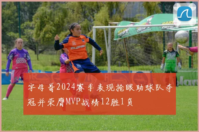 字母哥2024赛季表现抢眼助球队夺冠并荣膺MVP战绩12胜1负